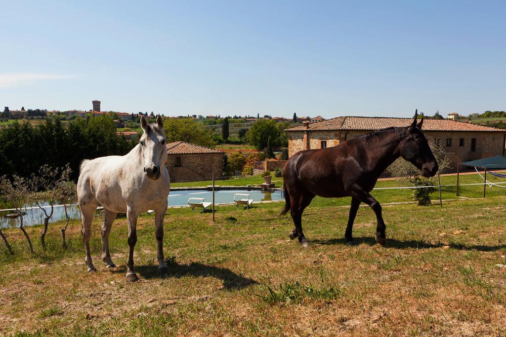 Agriturismo La Collina Pienza Exterior foto